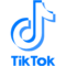 Tiktok logo light blue